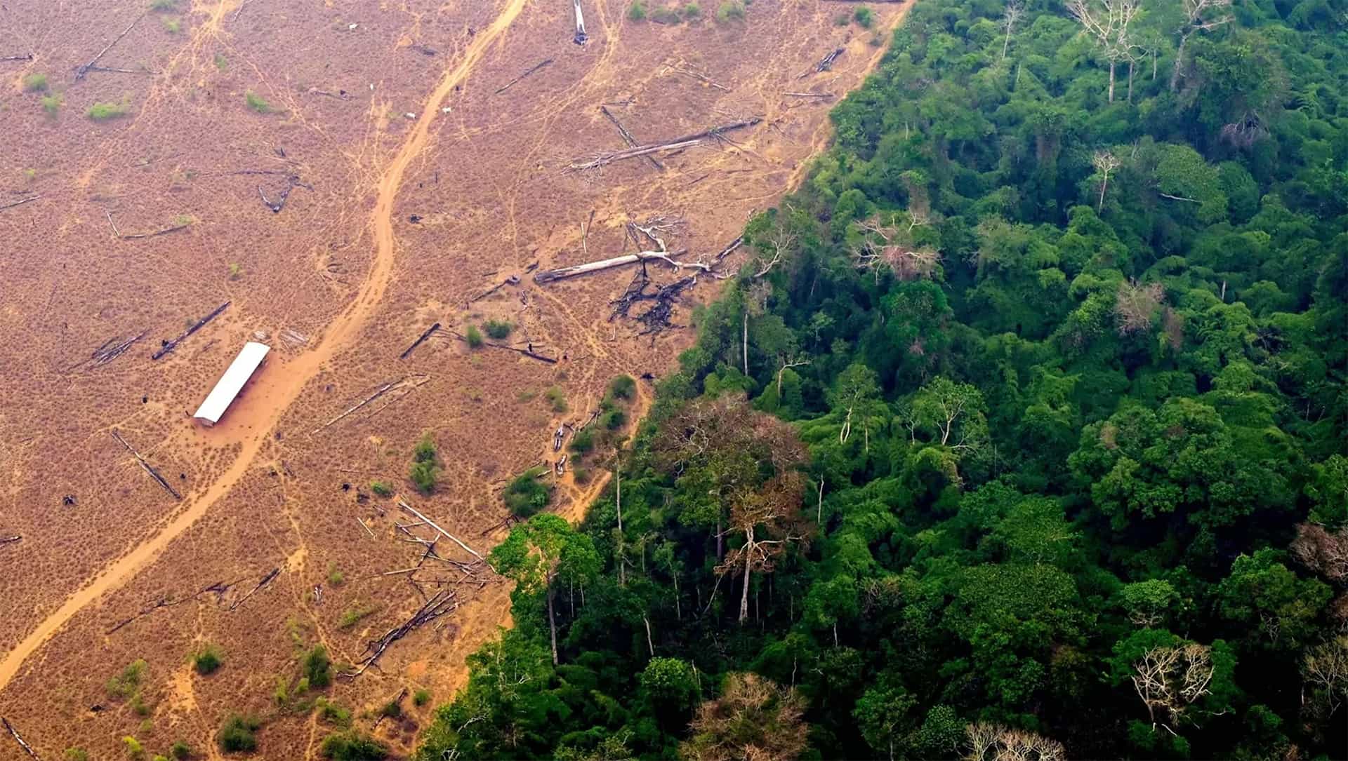 View of a deforested and burning area of the Amazon rainforest.